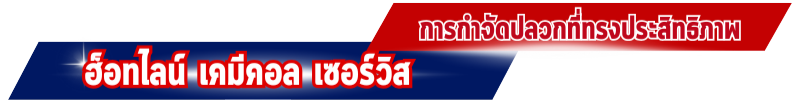 การกำจัดปลวกที่ทรงประสิทธิภาพ