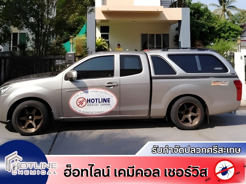 กำจัดปลวกด่วน