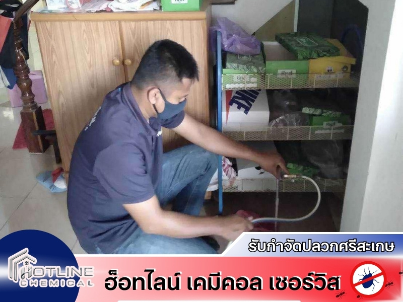 กำจัดปลวกศรีสะเกษราคาถูก