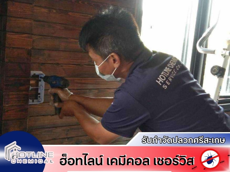 รับกำจัดมดปลวกราคาถูก